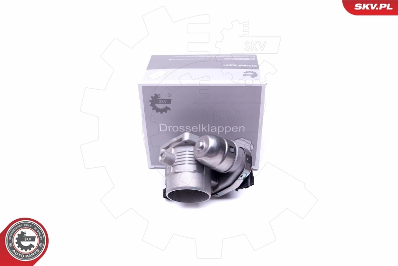 Throttle Body
